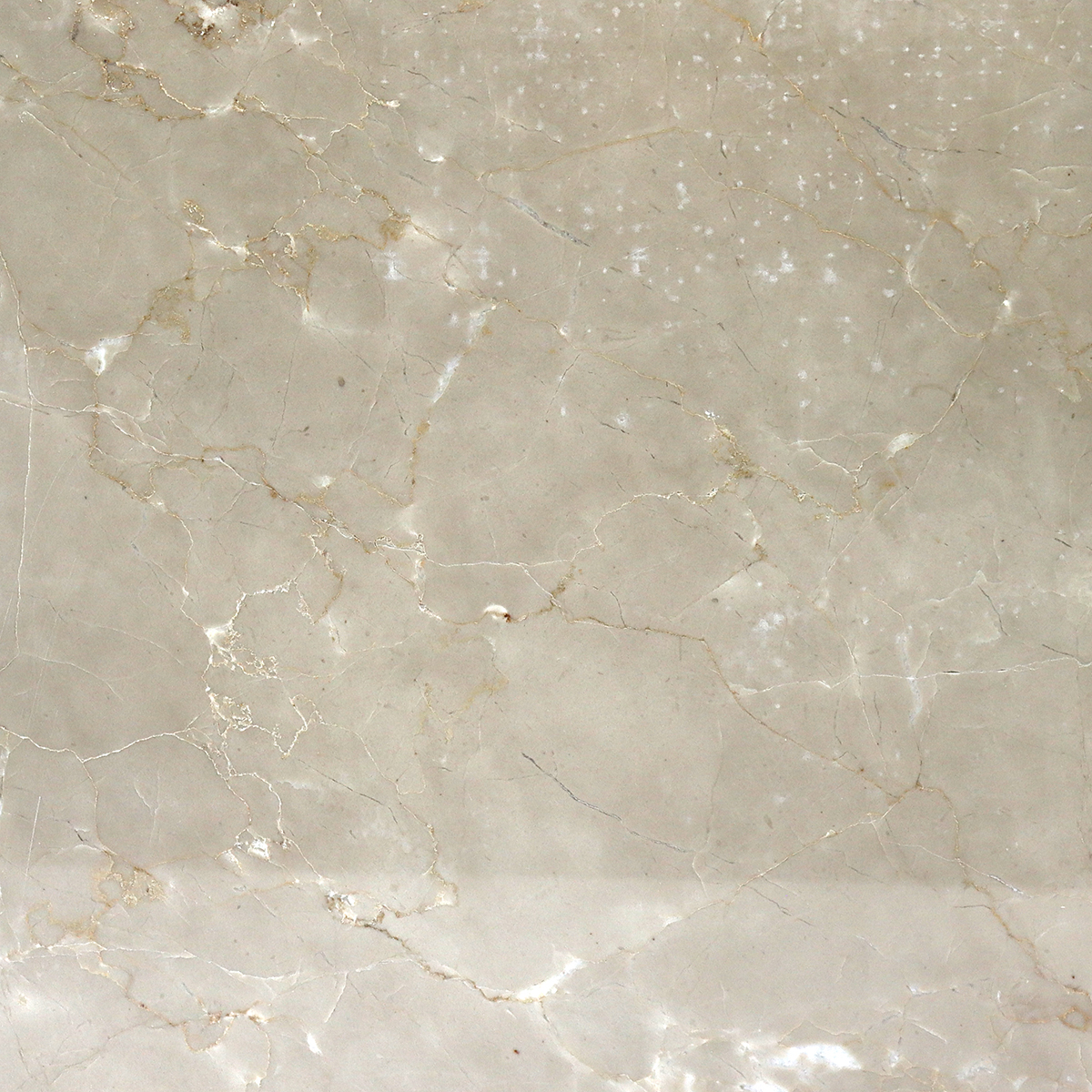 static/products/marbleSlabs/products/MBR21.jpg 